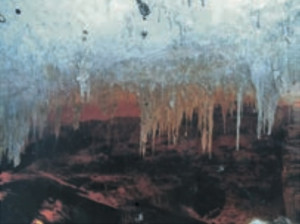 article-02